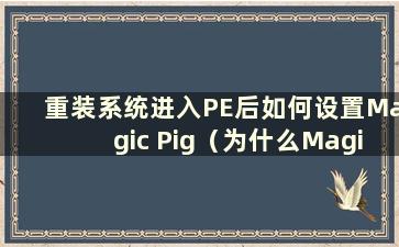 重装系统进入PE后如何设置Magic Pig（为什么Magic Pig一键重装后一直蓝屏）